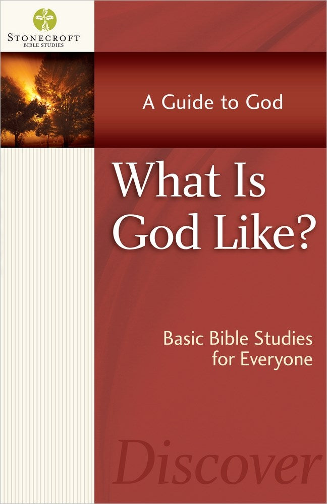 What Is God Like? (Stonecroft Bible Studies)