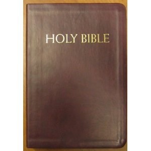 NABRE Catholic Companion Bible-Burgundy Imitation Leather