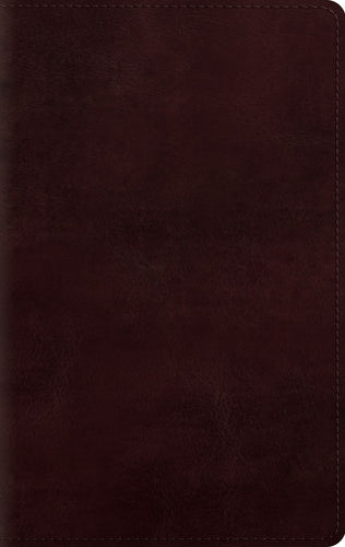 ESV Large Print Personal Size Bible-Mahogany TruTone