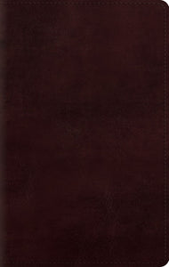 ESV Large Print Personal Size Bible-Mahogany TruTone