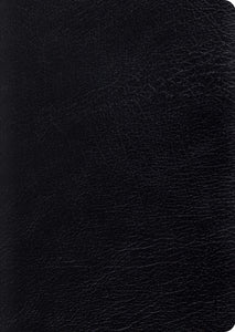 ESV Study Bible/Large Print-Black Genuine Leather