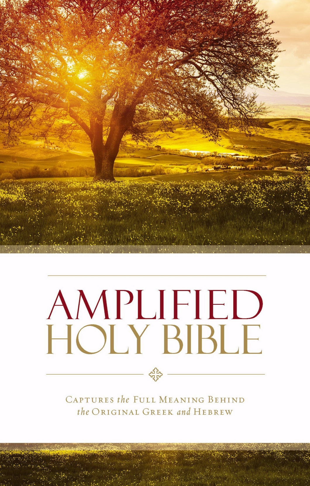 Amplified 2014 Holy Bible (Revised)-Softcover