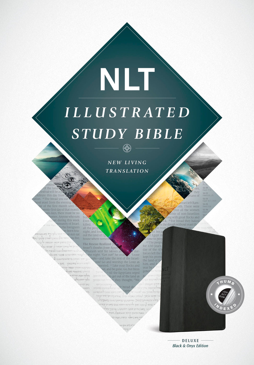 NLT Illustrated Study Bible-Black/Onyx TuTone Indexed