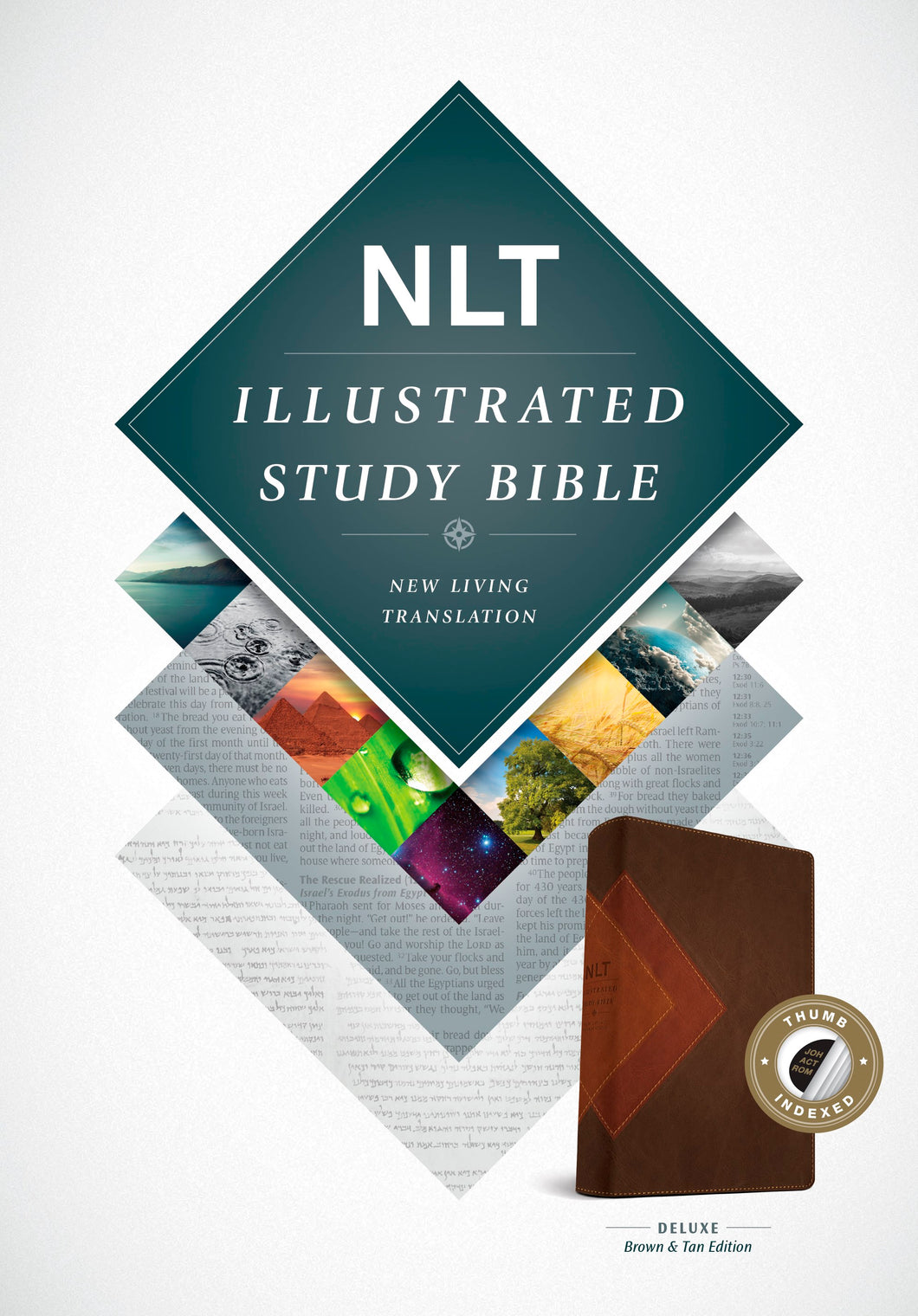 NLT Illustrated Study Bible-Brown/Tan TuTone Indexed