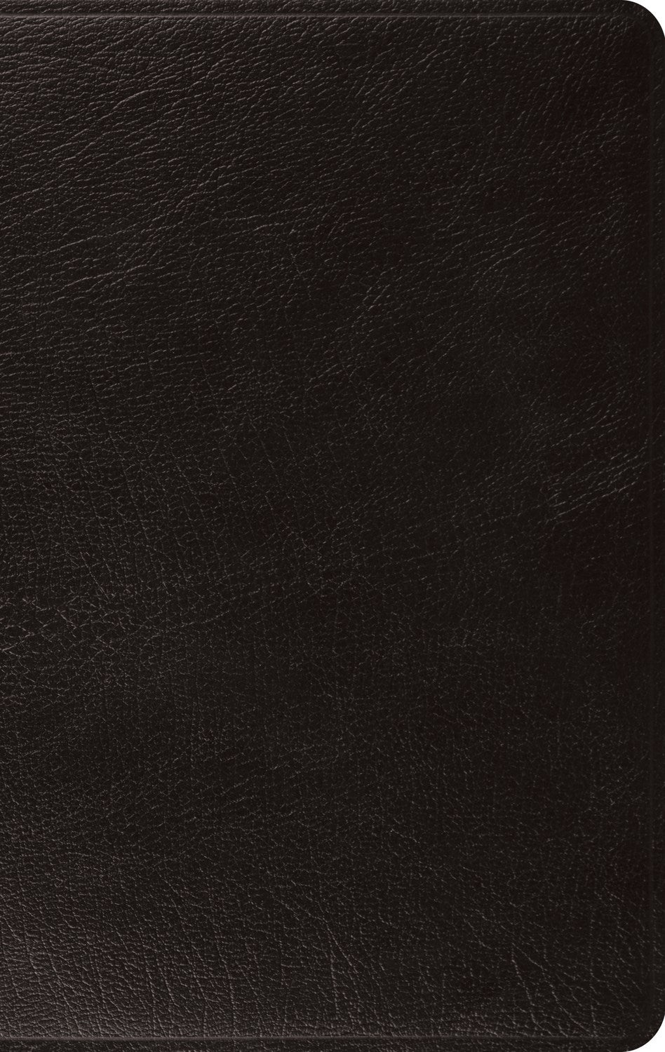 ESV Large Print Thinline Bible-Black Genuine Leather