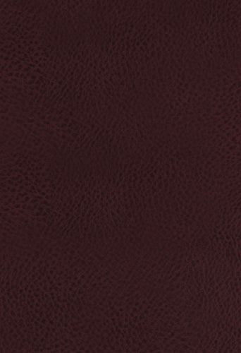 KJV Study Bible (Full-Color)-Burgundy Bonded Leather Indexed