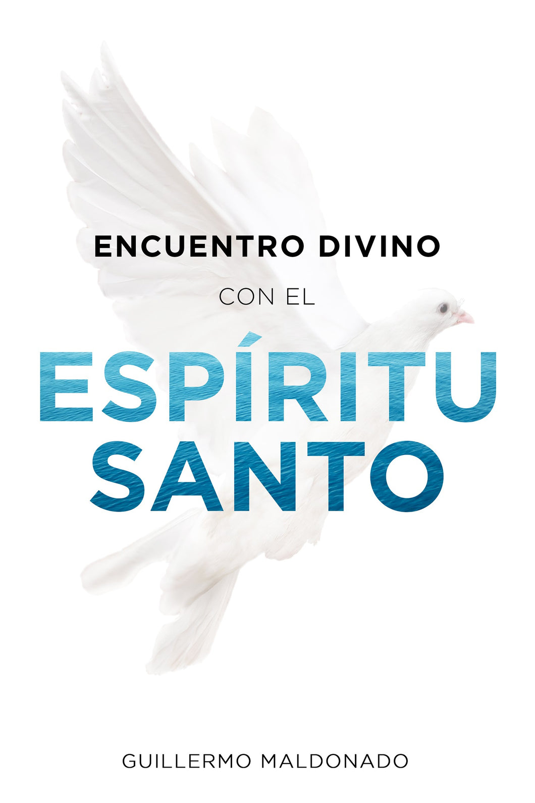 Spanish-Divine Encounter With The Holy Spirit