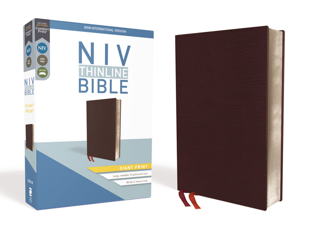 NIV Thinline Bible/Giant Print (Comfort Print)-Burgundy Bonded Leather