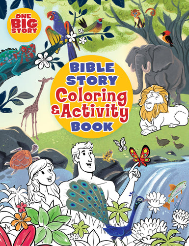 Big Picture Interactive Bible Story Coloring And Activity Book