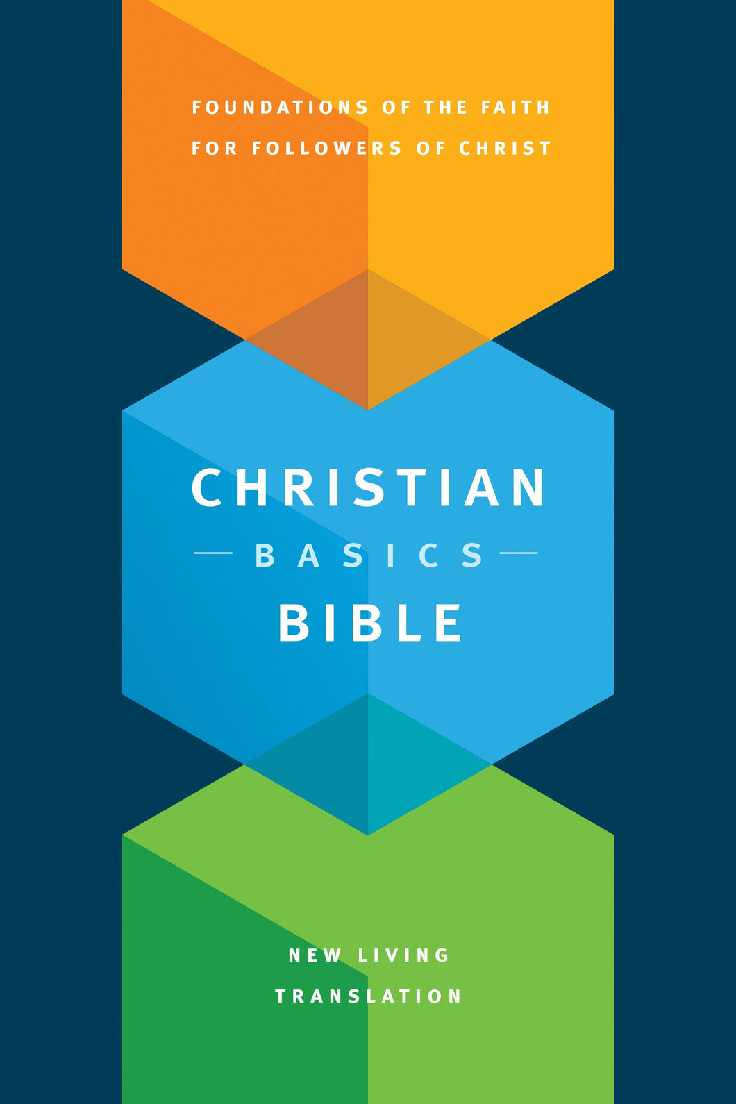 NLT Christian Basics Bible-Softcover