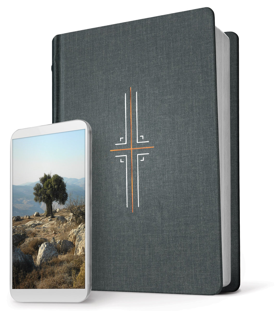 NLT Filament Bible-Gray Hardcover