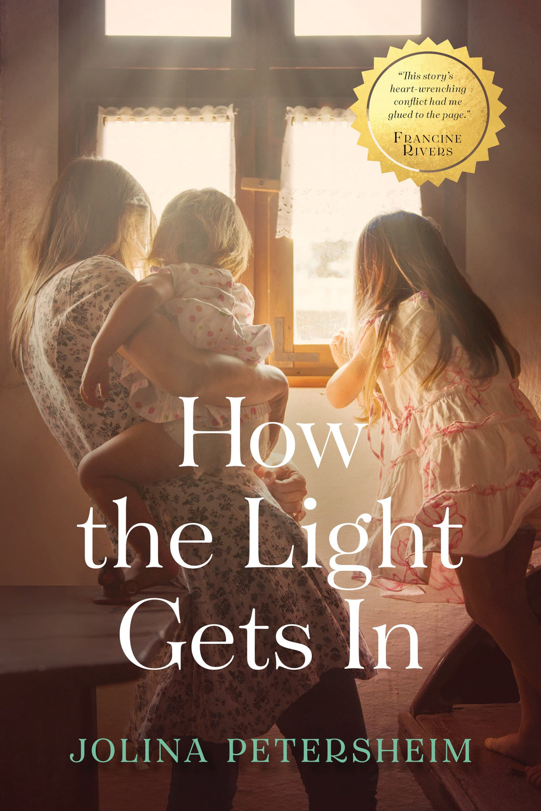How The Light Gets In-Softcover