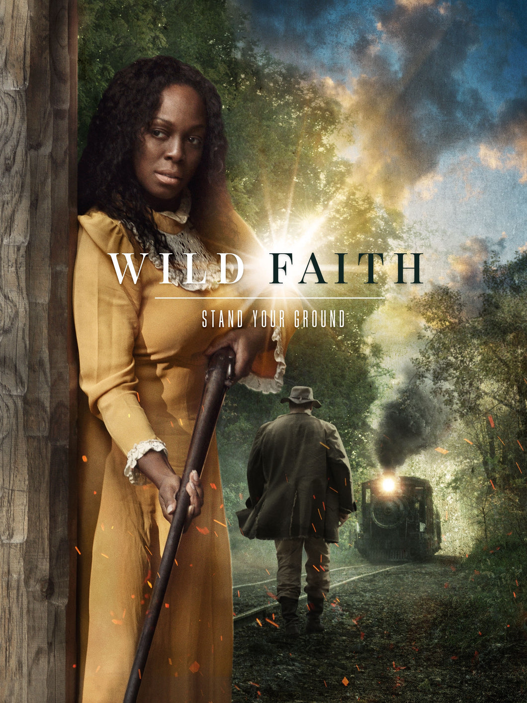 DVD-Wild Faith