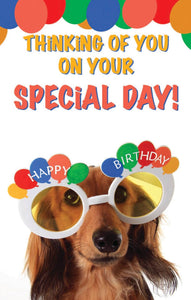 Postcard-Special Day (Pack Of 25)