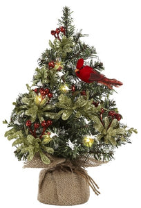 Home Decor-LED Light Up Cardinal Evergreen (12") (Pack Of 2)