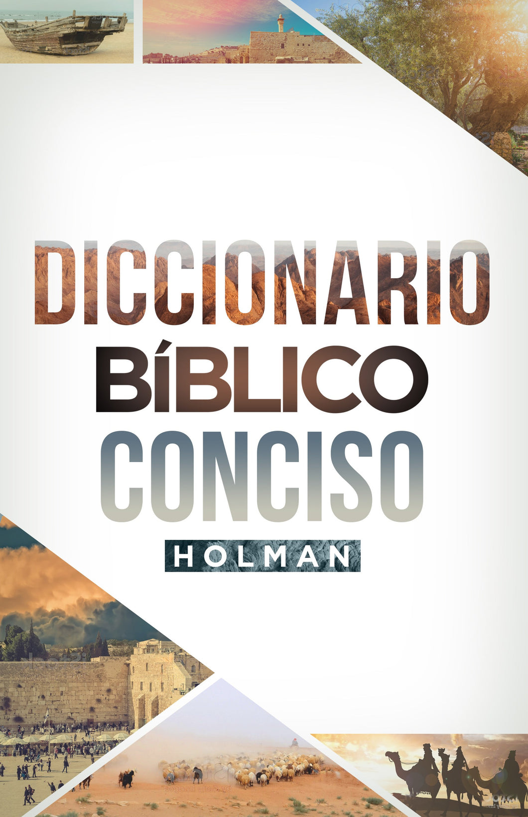 Spanish-Holman Concise Bible Dictionary (Diccionario Biblico Conciso Holman) (Repack)