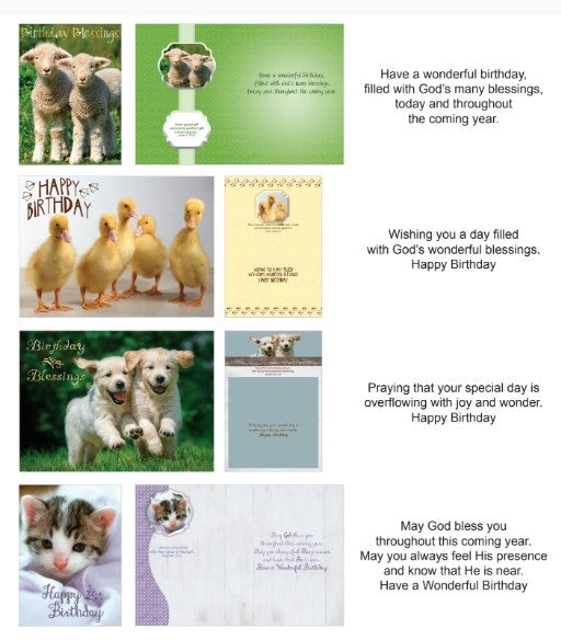 Card-Boxed-Shared Blessings-Birthday Fur And Feathers (Box Of 12)