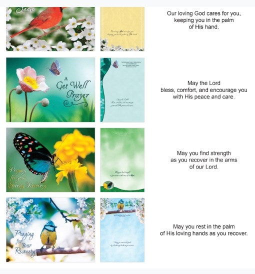 Card-Boxed-Shared Blessings-Get Well Birds And Butterflies (Box Of 12)