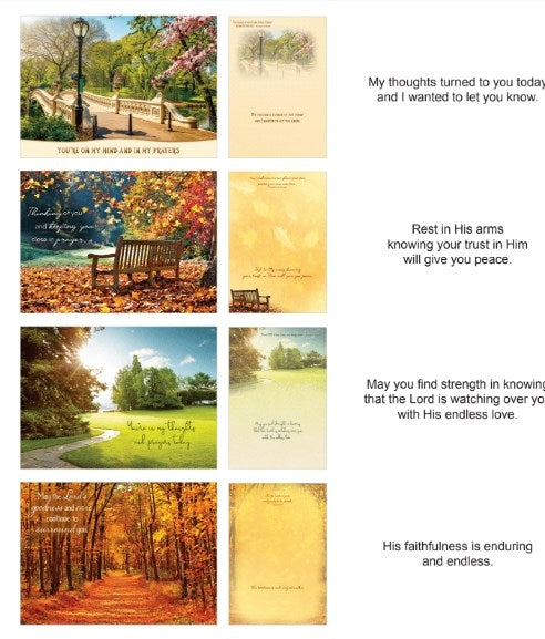 Card-Boxed-Shared Blessings-Thinking Of You Pathways (Box Of 12)