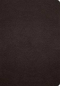 ESV Single Column Journaling Bible/Large Print-Deep Brown Buffalo Leather
