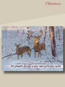 Card-Boxed-Christmas-Whitetail Deer w/Scripture (Box Of 12)