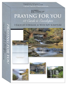 Card-Boxed-Shared Blessings-Praying For You-Waterfalls (Box Of 12)