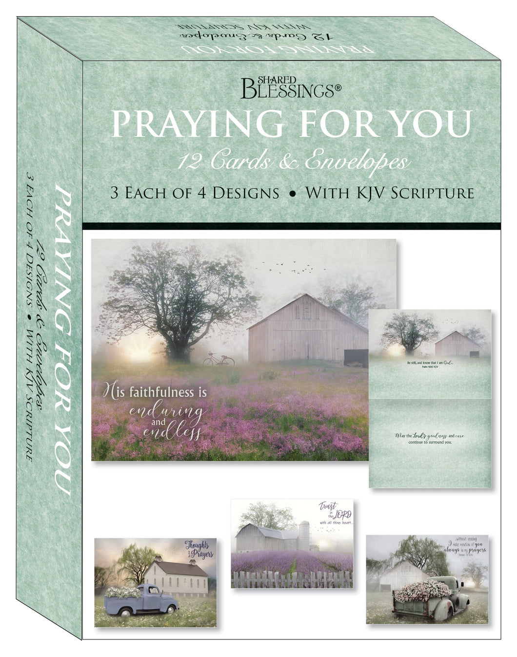 Card-Boxed-Shared Blessings-Praying For You-Quiet Places (Box Of 12)