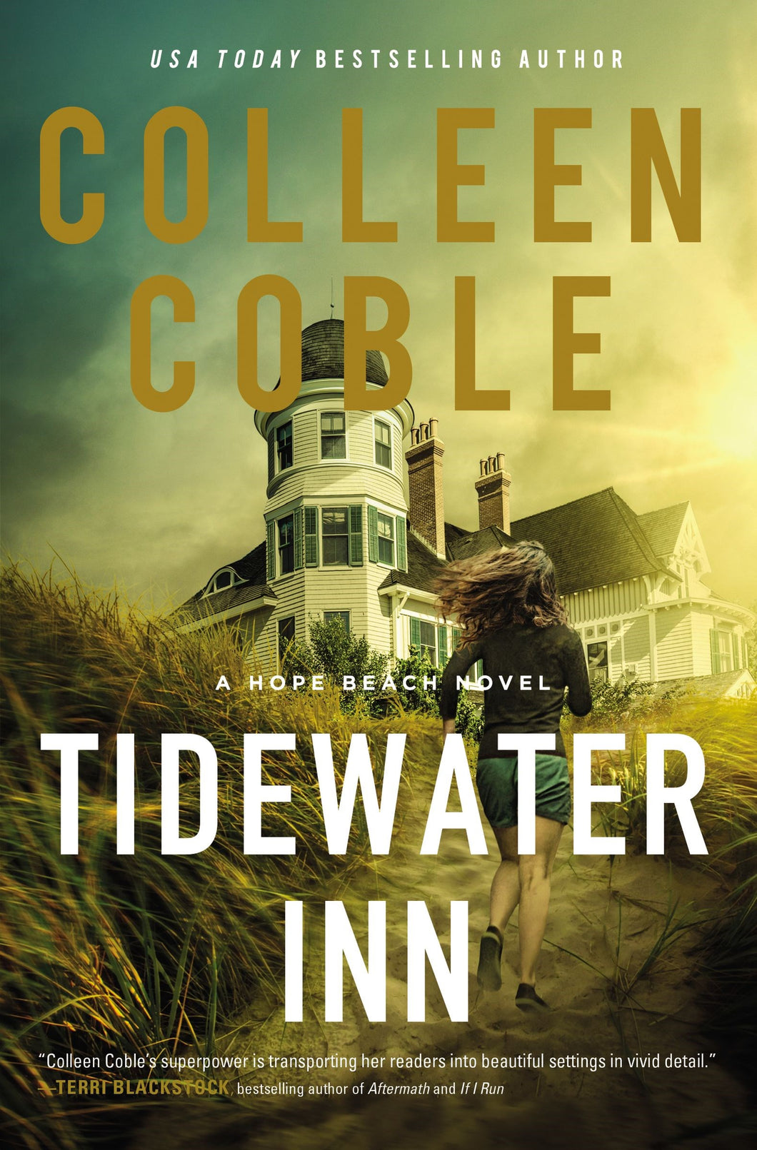 Tidewater Inn (A Hope Beach Novel)