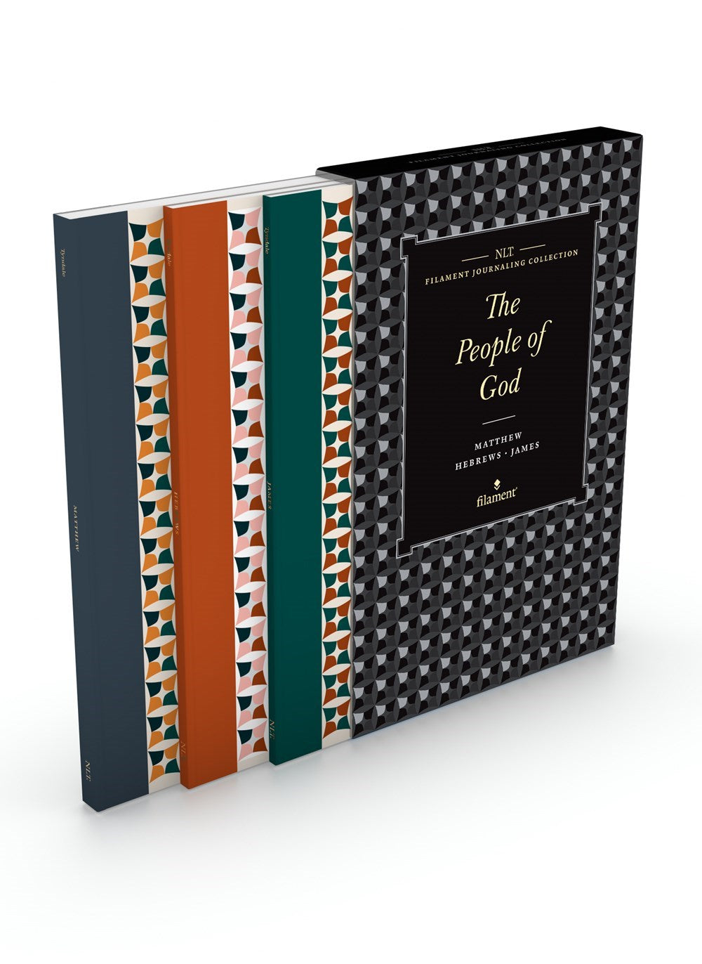 NLT Filament Bible Journal: The People Of God Set-Softcover
