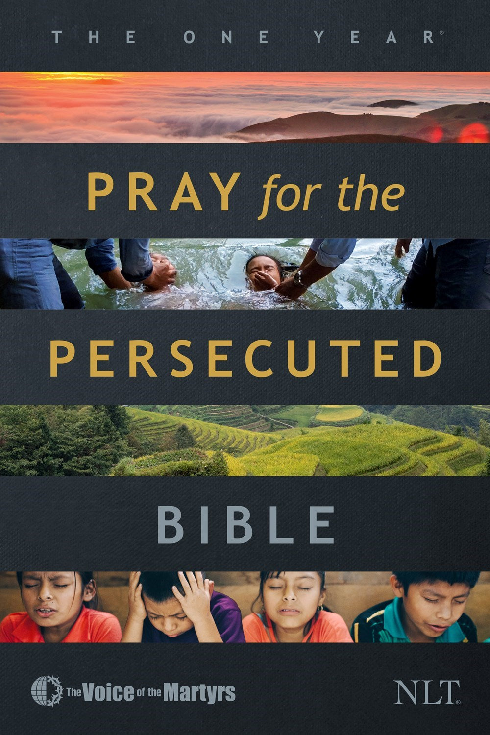 NLT The One Year Pray For The Persecuted Bible-Softcover