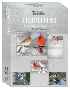 Card-Boxed-Christmas-Winter Birds (Box Of 12)