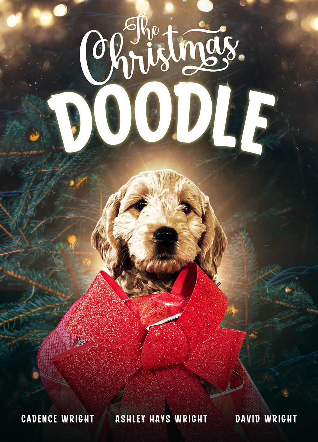 DVD-The Christmas Doodle