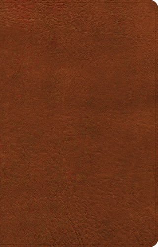 NASB 2020 Large Print Personal Size Reference Bible-Burnt Sienna LeatherTouch