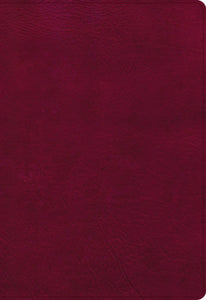 NASB 2020 Super Giant Print Reference Bible-Burgundy LeatherTouch