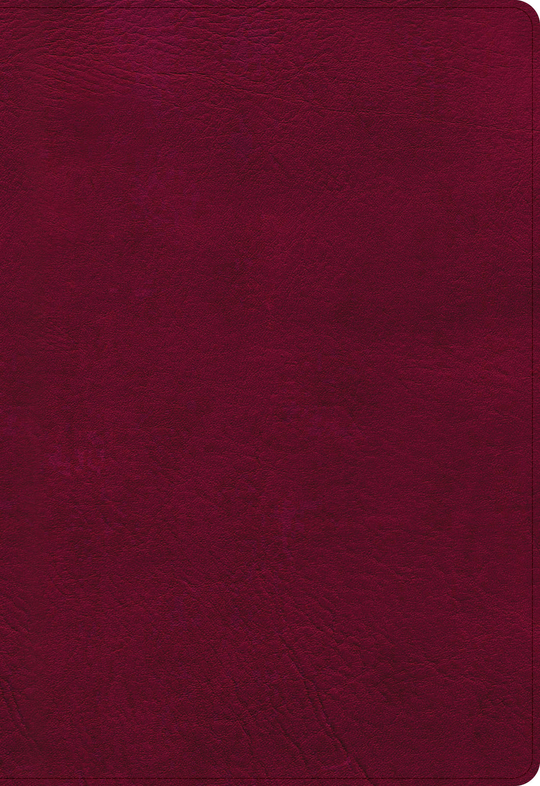 NASB 2020 Super Giant Print Reference Bible-Burgundy LeatherTouch Indexed