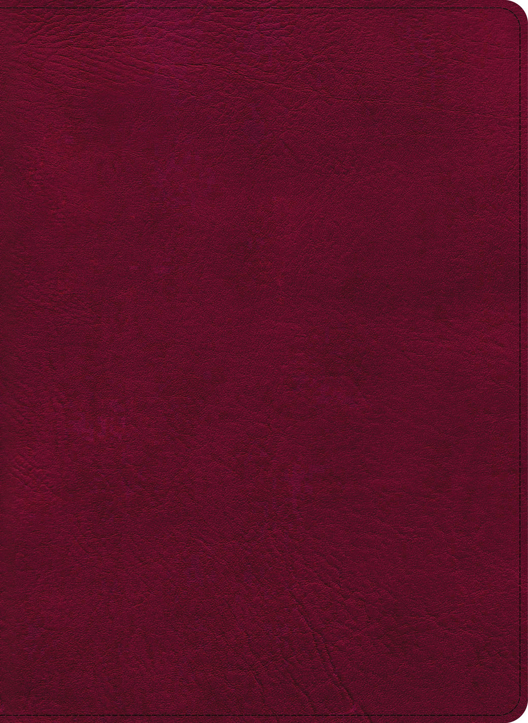CSB Holy Land Illustrated Bible-Burgundy LeatherTouch
