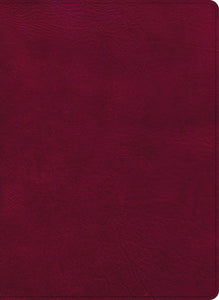 CSB Holy Land Illustrated Bible-Burgundy LeatherTouch Indexed