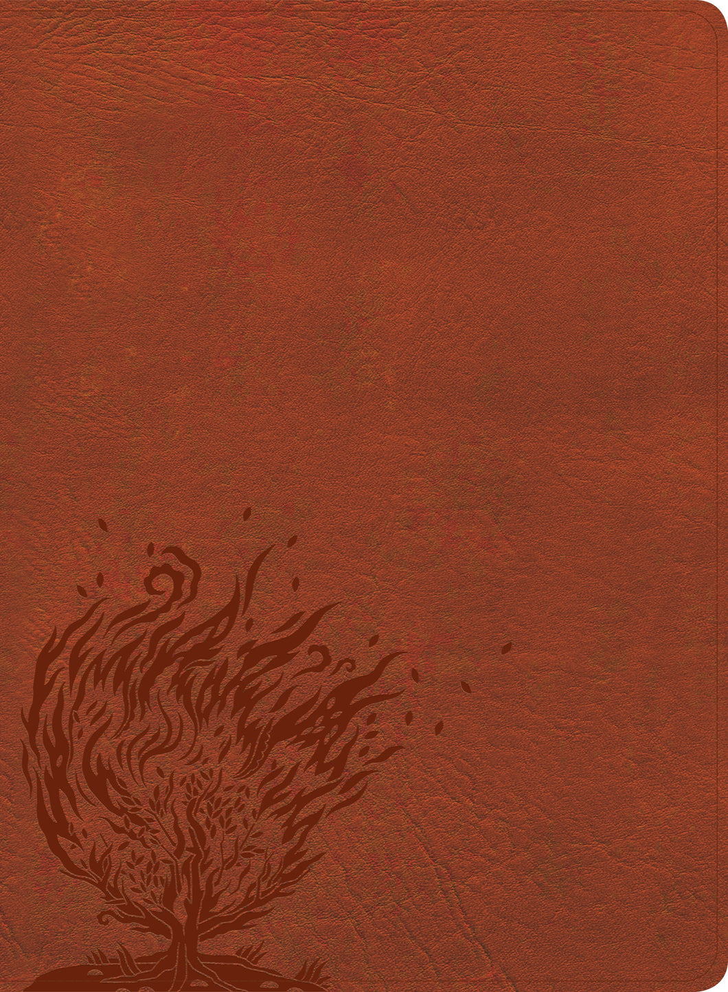 CSB Experiencing God Bible-Burnt Sienna LeatherTouch