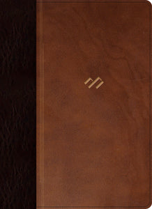 RVR 1960 Thematic Study Bible (Biblia tematica de estudio)-Brown/Dark Brown LeatherTouch