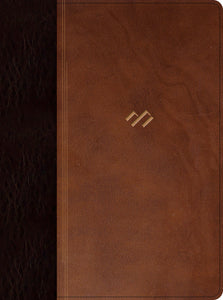 RVR 1960 Thematic Study Bible (Biblia tematica de estudio)-Brown/Dark Brown LeatherTouch Indexed