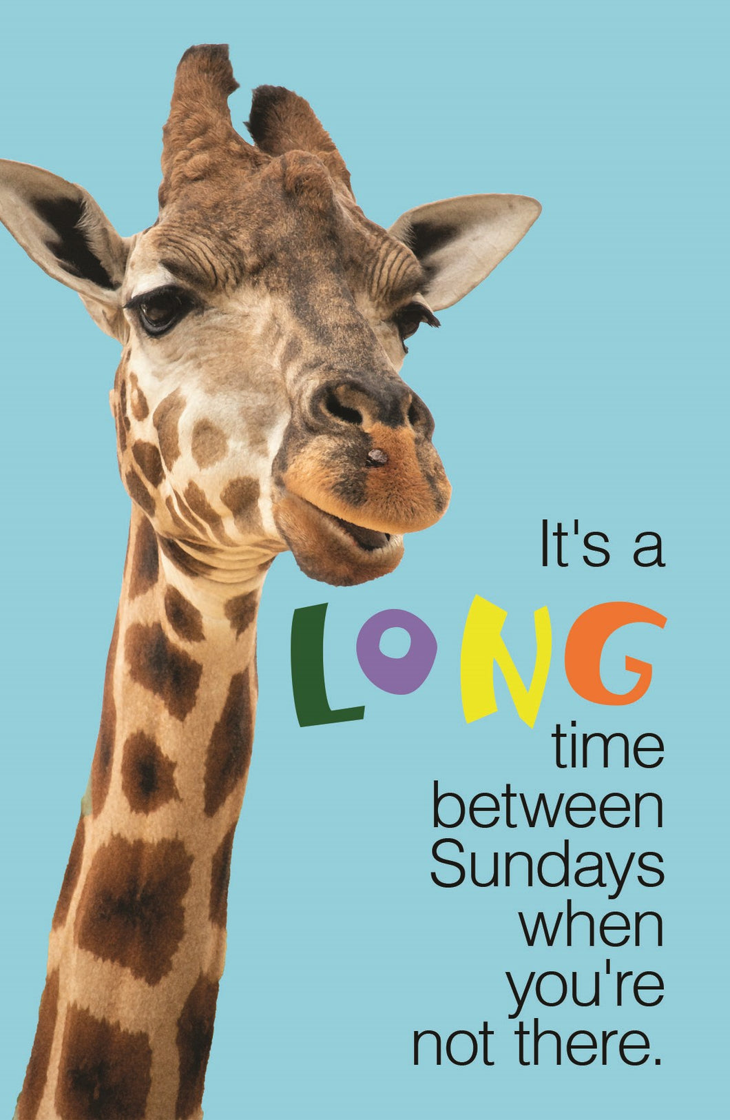 Postcard-It's A Long Time Between Sundays When You're Not There (Pack Of 25)