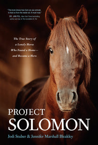 Project Solomon-Hardcover