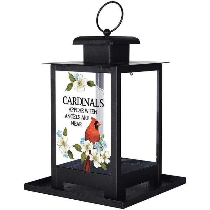 Bird Feeder-Cardinals Appear (12