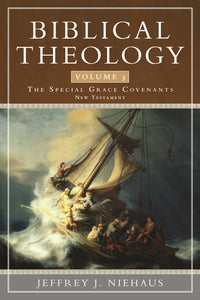 Biblical Theology  Volume 3