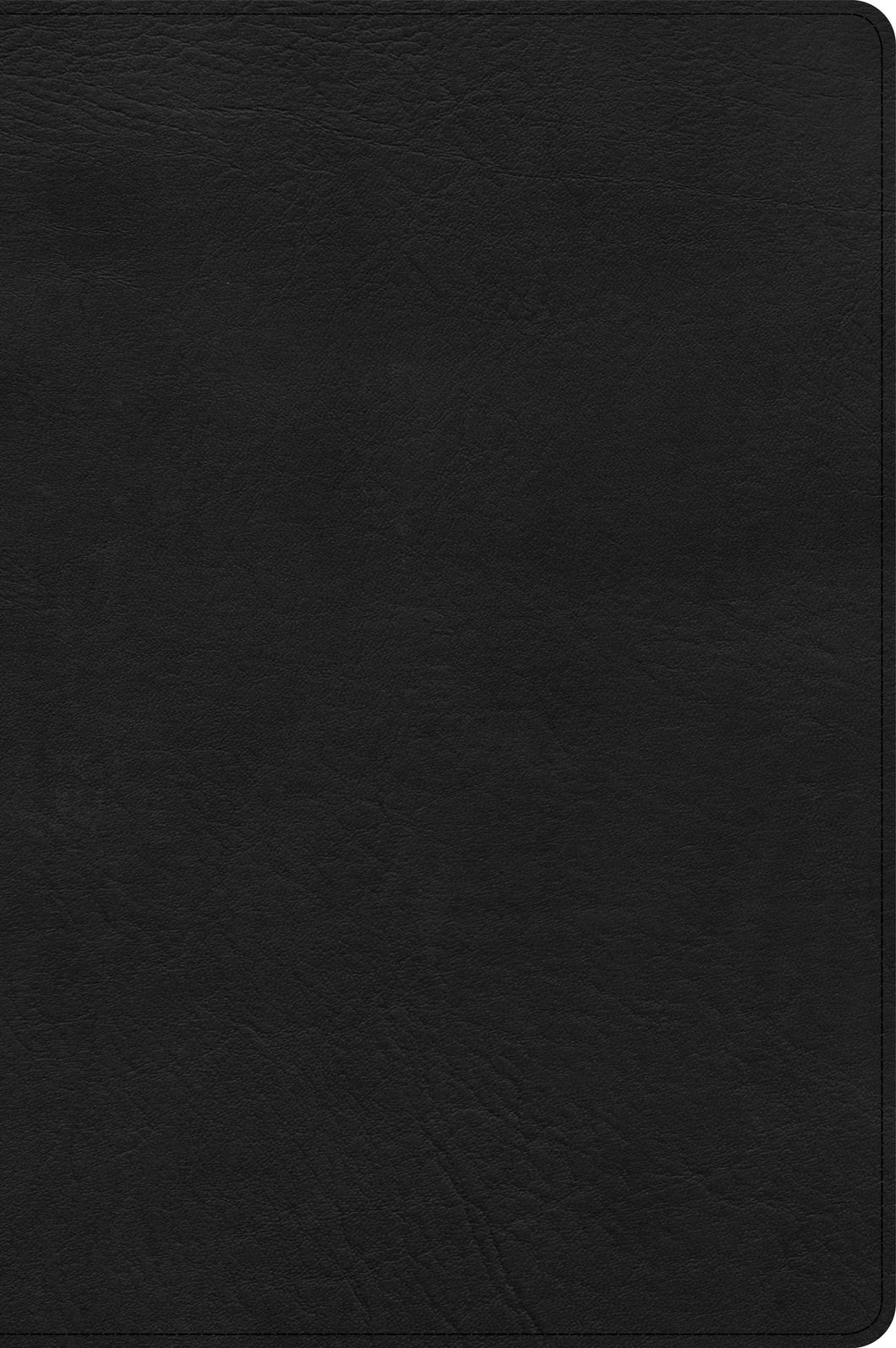 CSB Large Print Thinline Bible-Black LeatherTouch