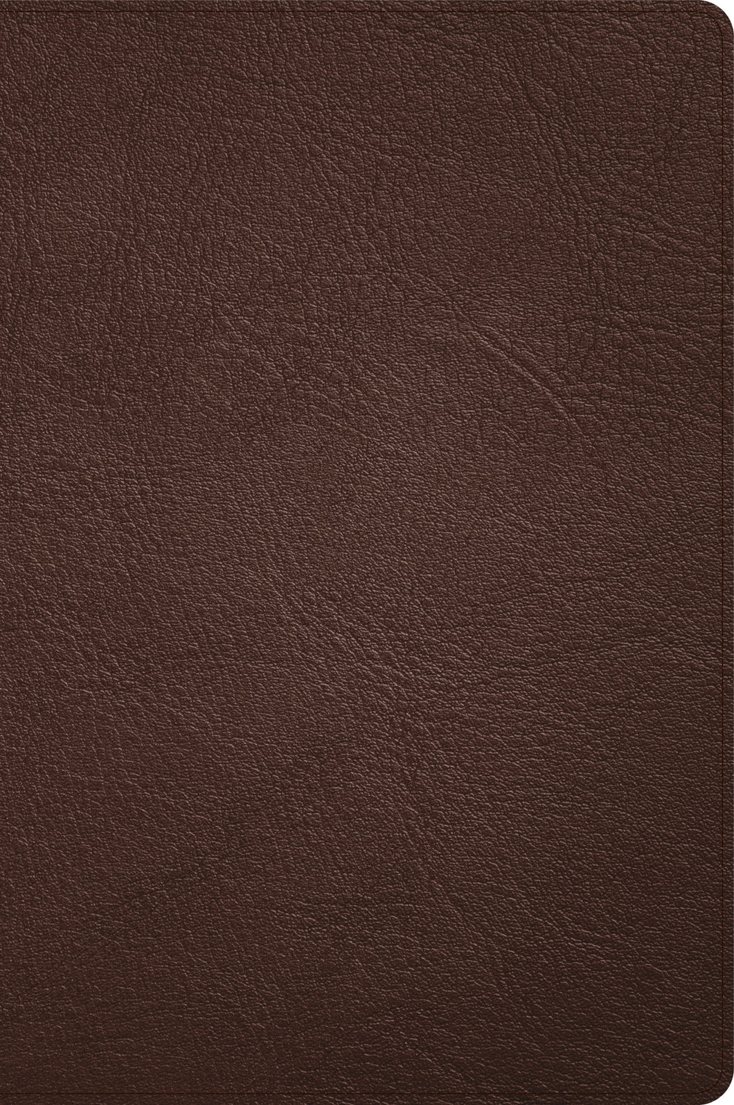 CSB Large Print Thinline Bible (Holman Handcrafted Collection)-Brown Premium Goatskin