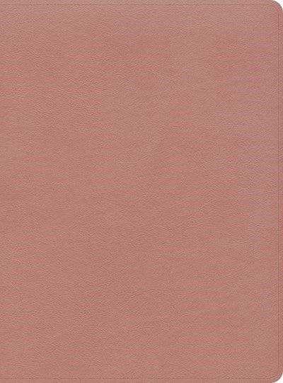CSB Study Bible-Rose Gold LeatherTouch Indexed