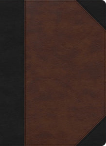CSB Verse-by-Verse Reference Bible-Black/Brown LeatherTouch