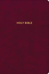 KJV Rainbow Study Bible-Burgundy LeatherTouch Indexed