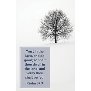 Bulletin-Trust In The Lord  And Do Good (Pack of 100)